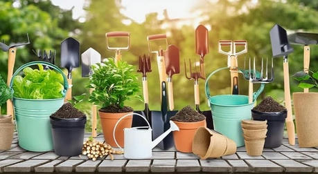 Gardening Tools: Crafting Your Green Paradise
